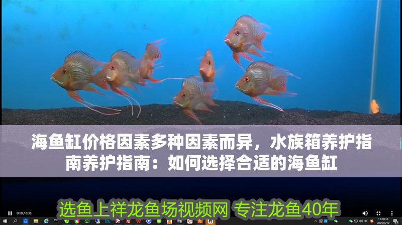 海魚缸價格因素多種因素而異，水族箱養(yǎng)護指南養(yǎng)護指南：如何選擇合適的海魚缸