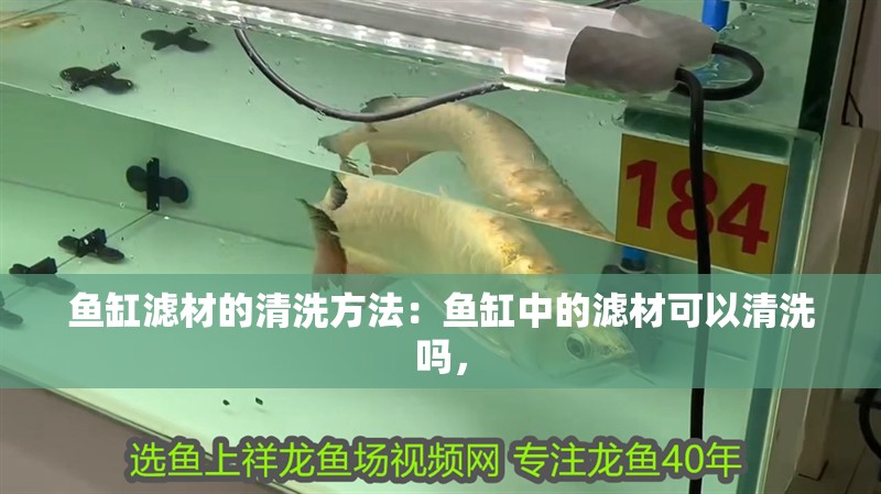 魚缸濾材的清洗方法：魚缸中的濾材可以清洗嗎，