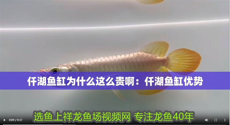 仟湖魚缸為什么這么貴啊：仟湖魚缸優(yōu)勢