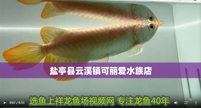 鹽亭縣云溪鎮可麗愛水族店