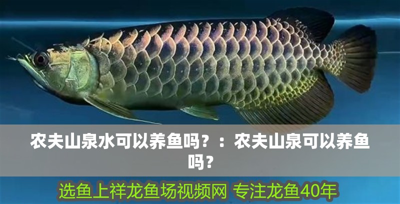 農(nóng)夫山泉水可以養(yǎng)魚嗎？：農(nóng)夫山泉可以養(yǎng)魚嗎？