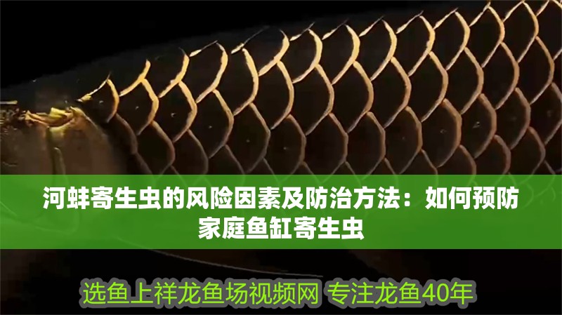 河蚌寄生蟲的風險因素及防治方法：如何預防家庭魚缸寄生蟲