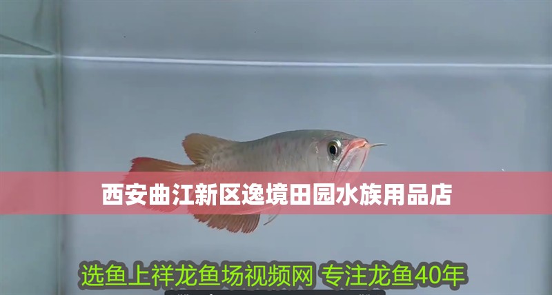 西安曲江新區逸境田園水族用品店