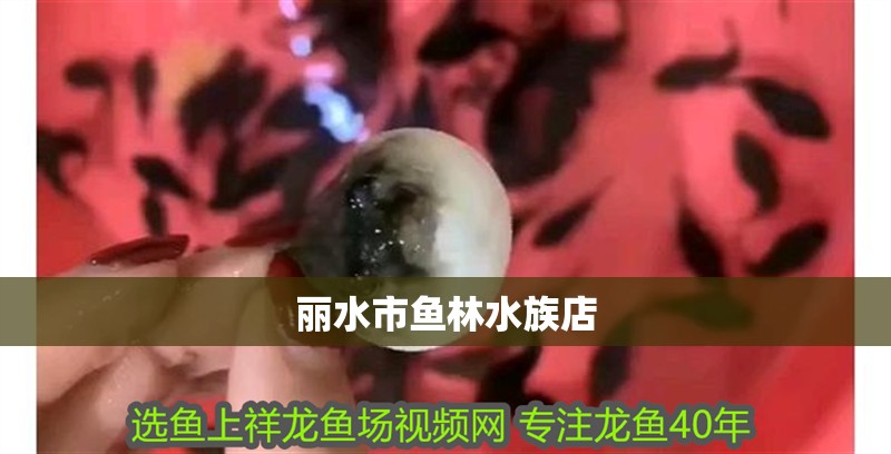 麗水市魚林水族店 麗水市魚林水族店 全國水族館企業(yè)名錄