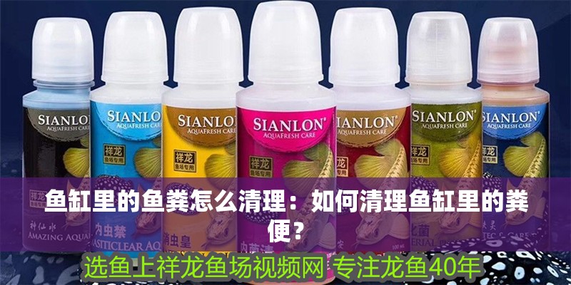 魚缸里的魚糞怎么清理：如何清理魚缸里的糞便？