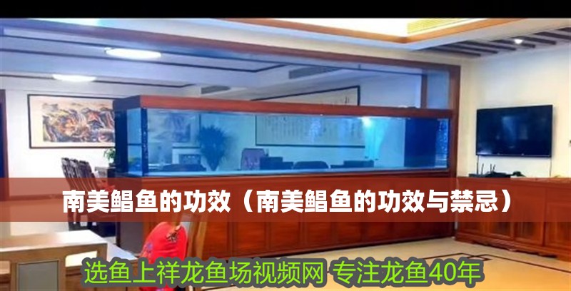 南美鯧魚的功效（南美鯧魚的功效與禁忌）