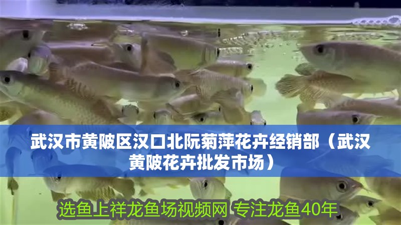 武漢市黃陂區漢口北阮菊萍花卉經銷部（武漢黃陂花卉批發市場）