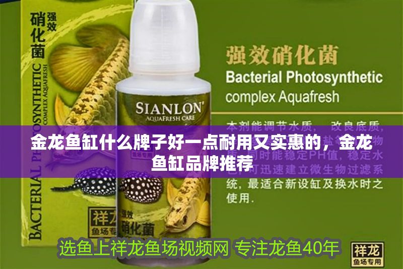 金龍魚缸什么牌子好一點耐用又實惠的，金龍魚缸品牌推薦
