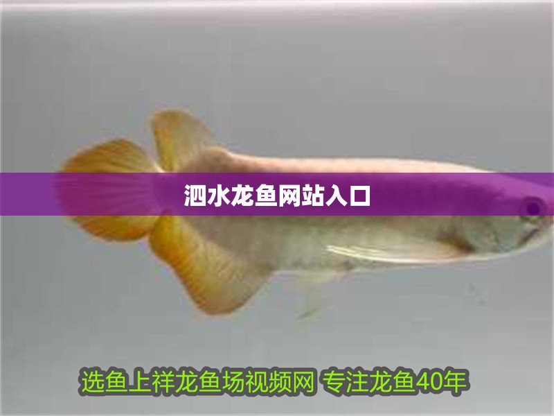 魚缸用增氧泵價格是多少:魚缸增氧機-xtrac增氧機-xtrac增氧機 泗水龍魚網(wǎng)站入口 龍魚論壇 泗水龍魚網(wǎng)站入口 泗水龍魚網(wǎng)站入口 龍魚論壇