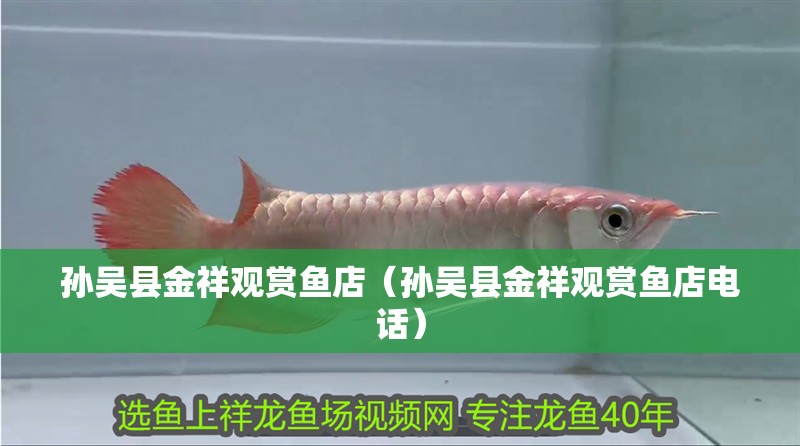 孫吳縣金祥觀賞魚店（孫吳縣金祥觀賞魚店電話） 孫吳縣金祥觀賞魚店（孫吳縣金祥觀賞魚店電話） 全國水族館企業名錄