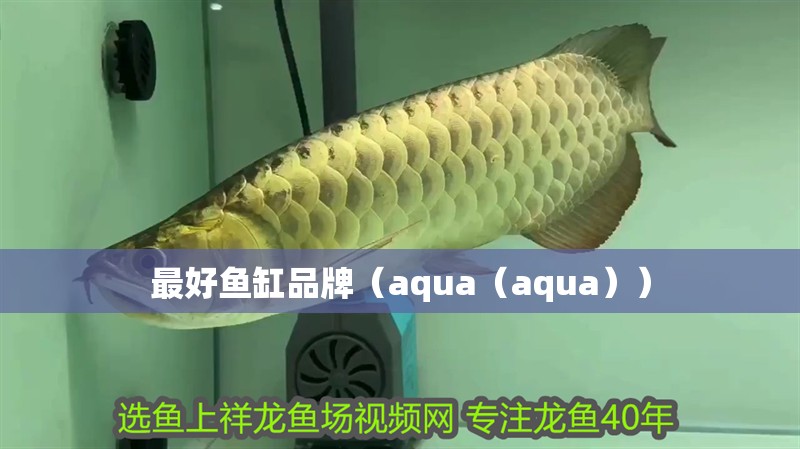 最好魚缸品牌（aqua（aqua））