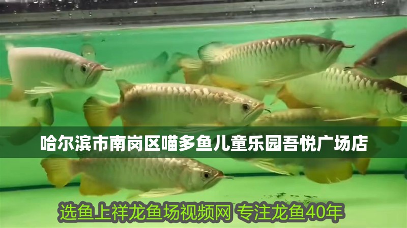 哈爾濱市南崗區(qū)喵多魚兒童樂園吾悅廣場店
