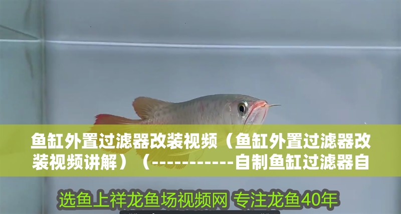魚缸外置過濾器改裝視頻（魚缸外置過濾器改裝視頻講解）（-----------自制魚缸過濾器自制過濾器）