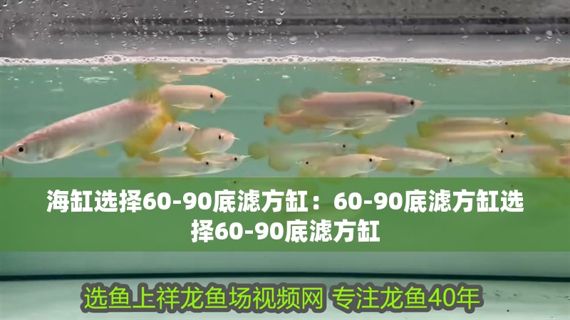 海缸選擇60-90底濾方缸：60-90底濾方缸選擇60-90底濾方缸