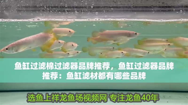 魚缸過濾棉過濾器品牌推薦，魚缸過濾器品牌推薦：魚缸濾材都有哪些品牌