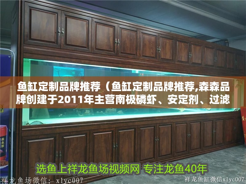 魚缸定制品牌推薦（魚缸定制品牌推薦,森森品牌創建于2011年主營南極磷蝦、<strong><mark>安定</mark></strong>劑、過濾盒等產品）