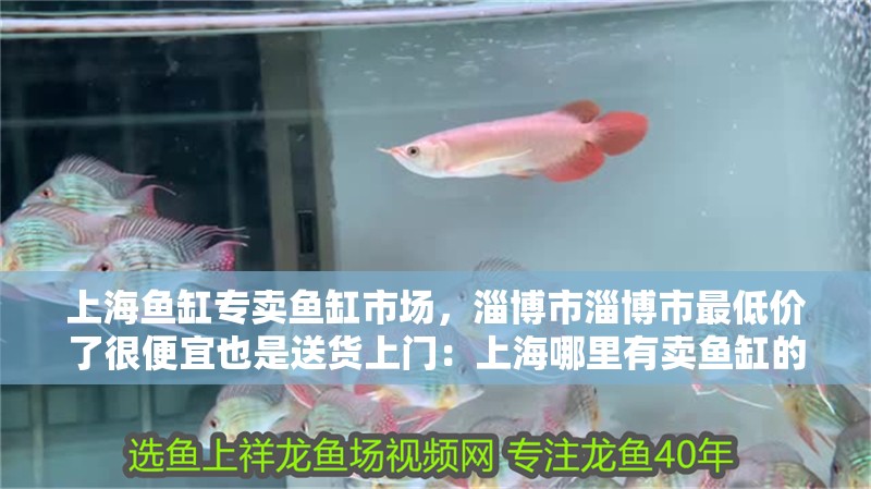 上海魚缸專賣魚缸市場，淄博市淄博市最低價了很便宜也是送貨上門：上海哪里有賣魚缸的地方？