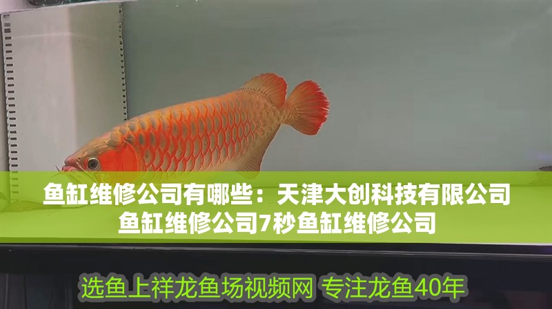 魚缸維修公司有哪些：天津大創科技有限公司魚缸維修公司7秒魚缸維修公司