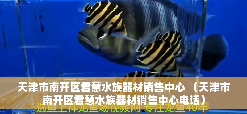 天津市南開(kāi)區(qū)君慧水族器材銷(xiāo)售中心 （天津市南開(kāi)區(qū)君慧水族器材銷(xiāo)售中心電話(huà)）