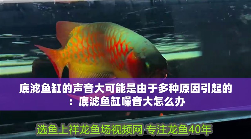 底濾魚缸的聲音大可能是由于多種原因引起的：底濾魚缸噪音大怎么辦