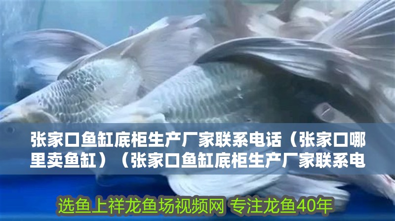 張家口魚缸底柜生產廠家聯系電話（張家口哪里賣魚缸）（張家口魚缸底柜生產廠家聯系電話、世友地板廠家聯系電話）