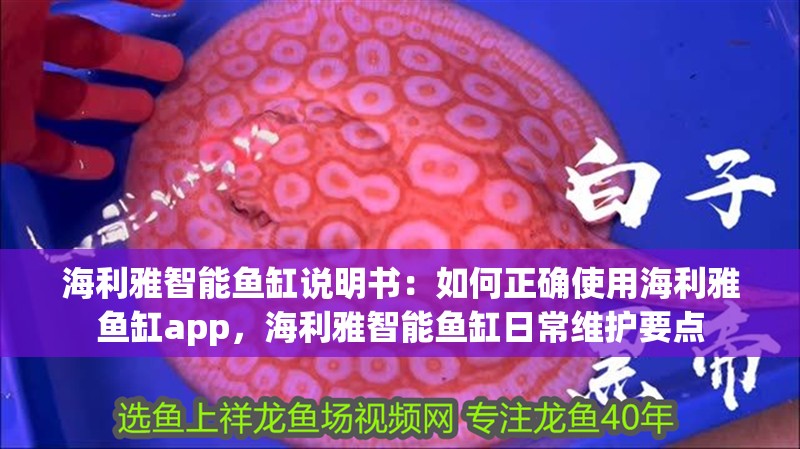 海利雅智能魚缸說明書：如何正確使用海利雅魚缸app，海利雅智能魚缸日常維護要點