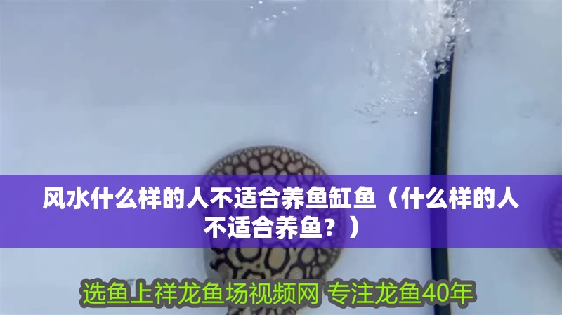 風水什么樣的人不適合養魚缸魚（什么樣的人不適合養魚？）