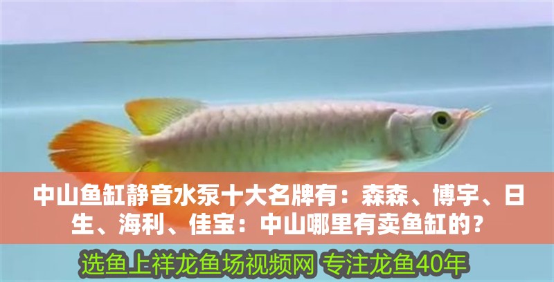 中山魚缸靜音水泵十大名牌有：森森、博宇、日生、海利、佳寶：中山哪里有賣魚缸的？