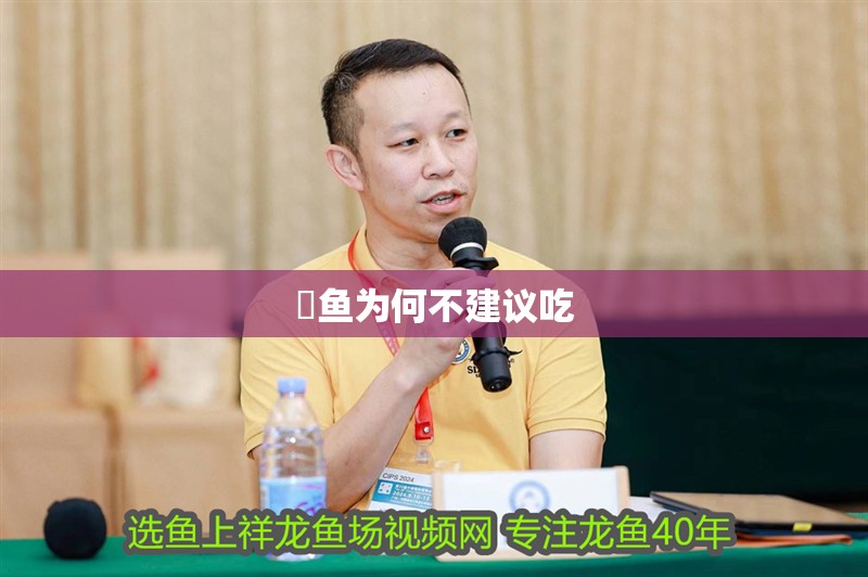 鳡魚為何不建議吃