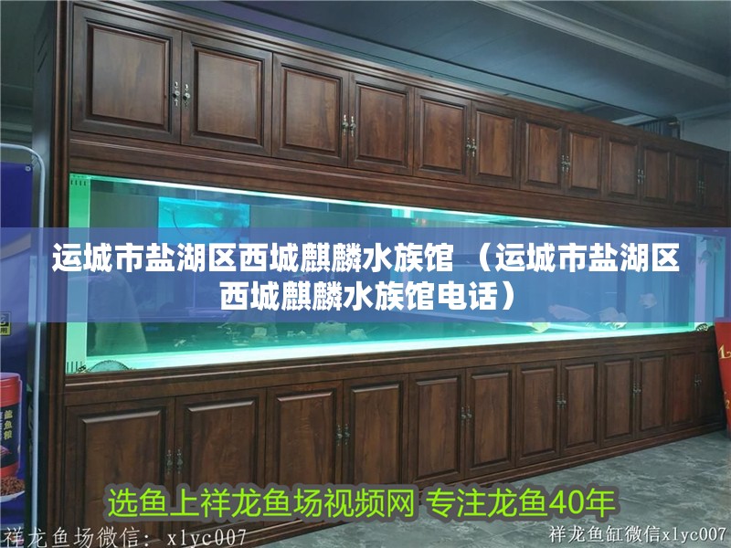 運城市鹽湖區(qū)西城麒麟水族館 （運城市鹽湖區(qū)西城麒麟水族館電話） 運城市鹽湖區(qū)西城麒麟水族館 （運城市鹽湖區(qū)西城麒麟水族館電話） 全國水族館企業(yè)名錄