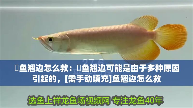 魟魚翹邊怎么救：魟魚翹邊可能是由于多種原因引起的，[需手動(dòng)填充]魚翹邊怎么救