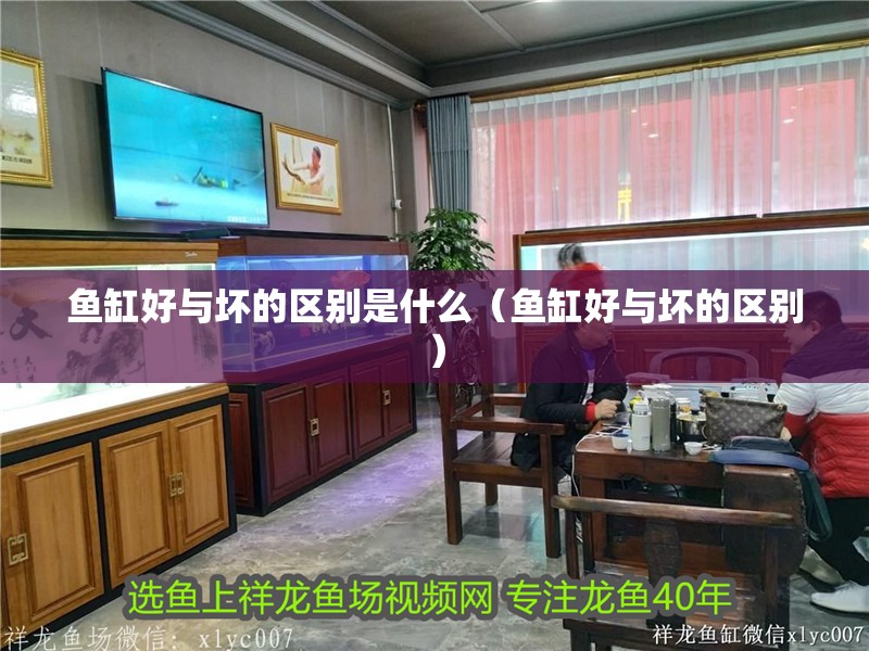 魚缸好與壞的區別是什么（魚缸好與壞的區別）