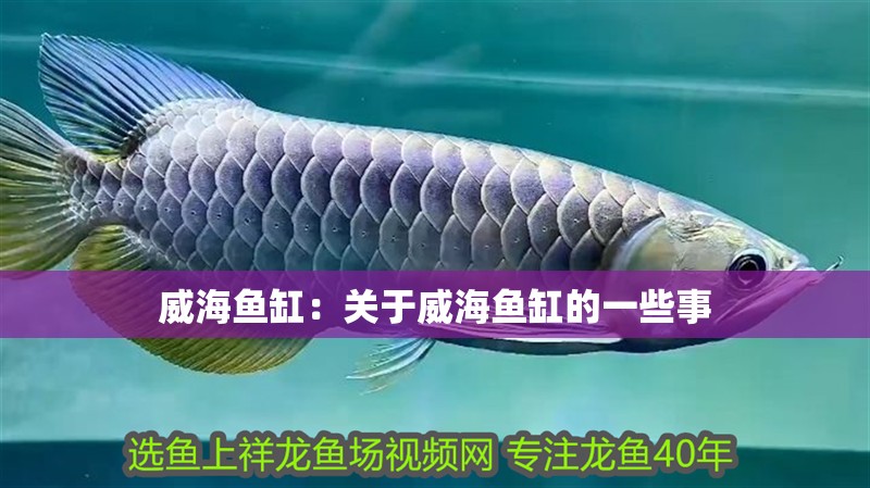 威海魚缸：關于威海魚缸的一些事