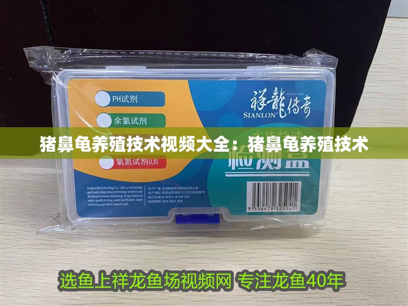 豬鼻龜養殖技術視頻大全：豬鼻龜養殖技術