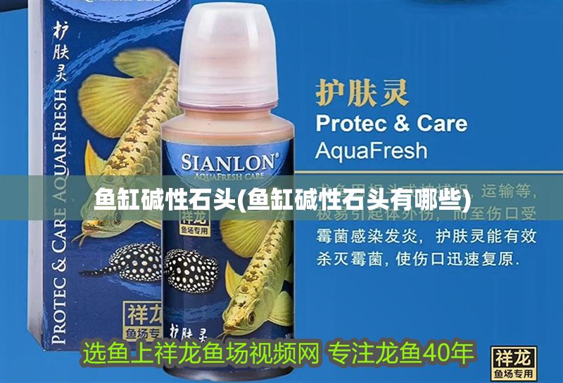 魚缸堿性石頭(魚缸堿性石頭有哪些)