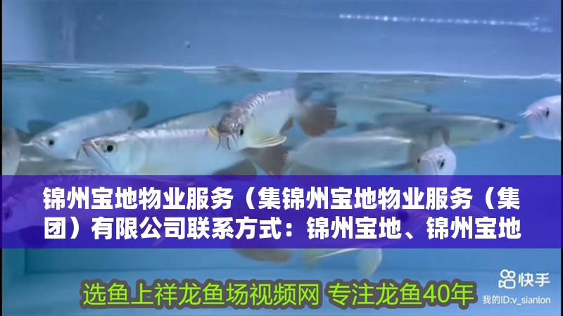 錦州寶地物業服務（集錦州寶地物業服務（集團）有限公司聯系方式：錦州寶地、錦州寶地、錦州陽光能源、錦州陽光能源、錦州陽光能源