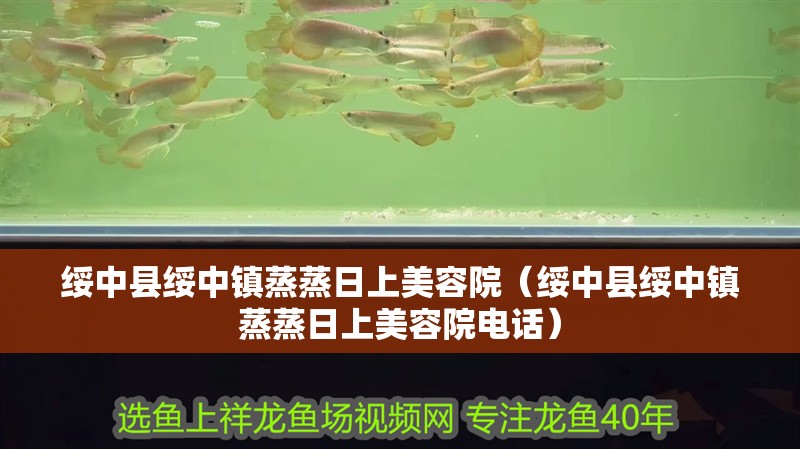 綏中縣綏中鎮(zhèn)蒸蒸日上美容院（綏中縣綏中鎮(zhèn)蒸蒸日上美容院電話）