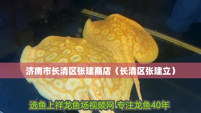 濟南市長清區張建商店（長清區張建立）