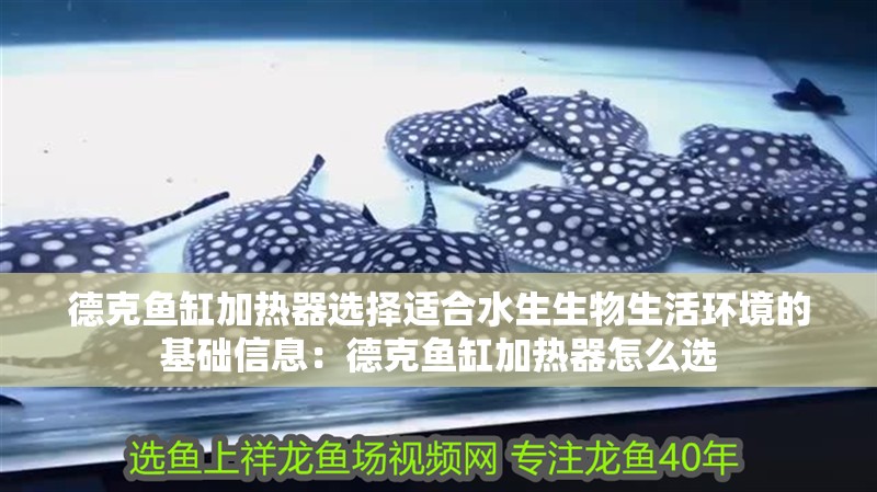 魚缸造景先放沙還是先放水(魚缸造景先鋪沙還是先放石頭) 德克魚缸加熱器選擇適合水生生物生活環境的基礎信息:德克魚缸加熱器怎么選 魚缸百科 德克魚缸加熱器選擇適合水生生物生活環境的基礎信息:德克魚缸加熱器怎么選 德克魚缸加熱器選擇適合水生生物生活環境的基礎信息:德克魚缸加熱器怎么選 魚缸百科