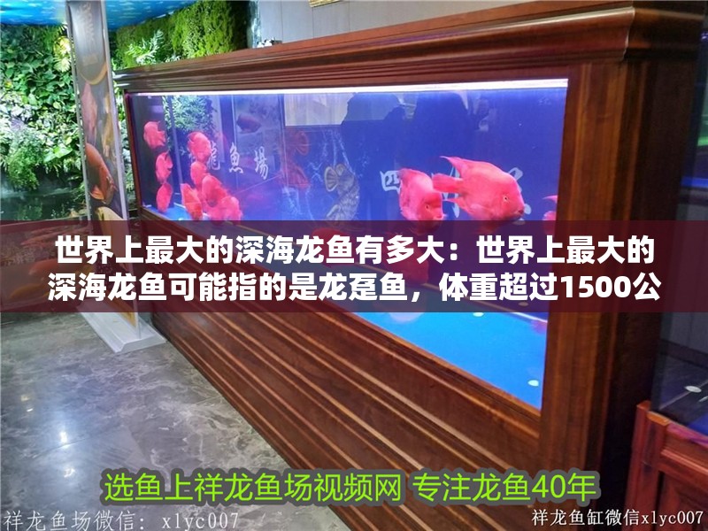 世界上最大的深海龍魚有多大：世界上最大的深海龍魚可能指的是龍躉魚，體重超過1500公斤