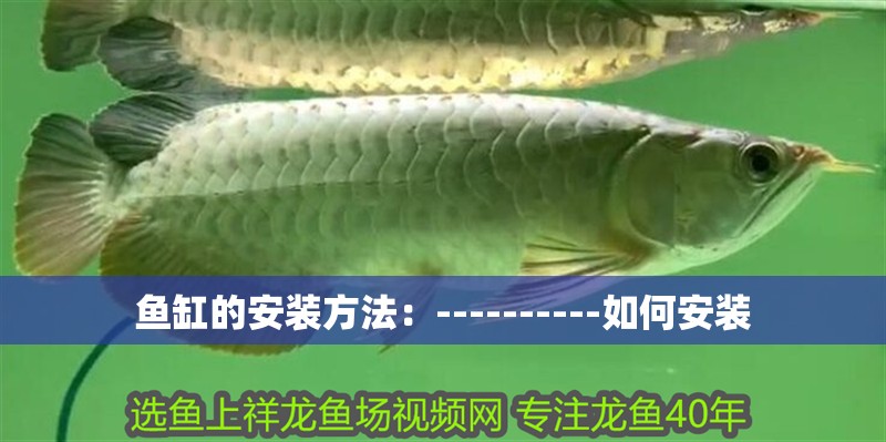 魚缸的安裝方法：----------如何安裝