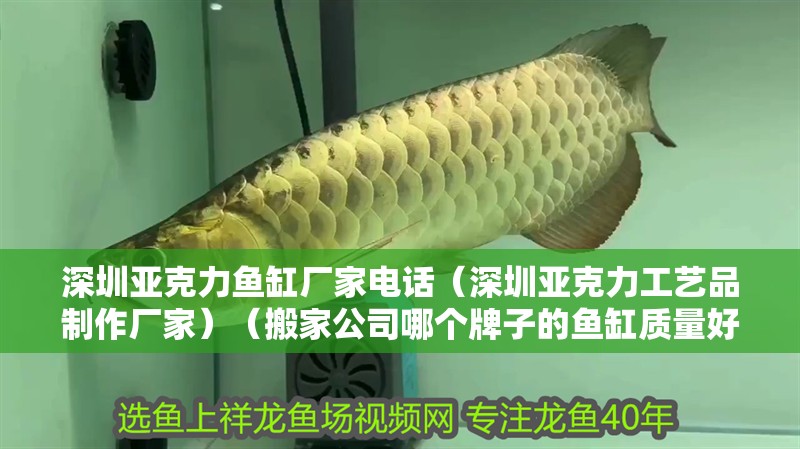 深圳亞克力魚缸廠家電話（深圳亞克力工藝品制作廠家）（搬家公司哪個牌子的魚缸質量好）