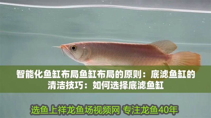 智能化魚缸布局魚缸布局的原則：底濾魚缸的清潔技巧：如何選擇底濾魚缸