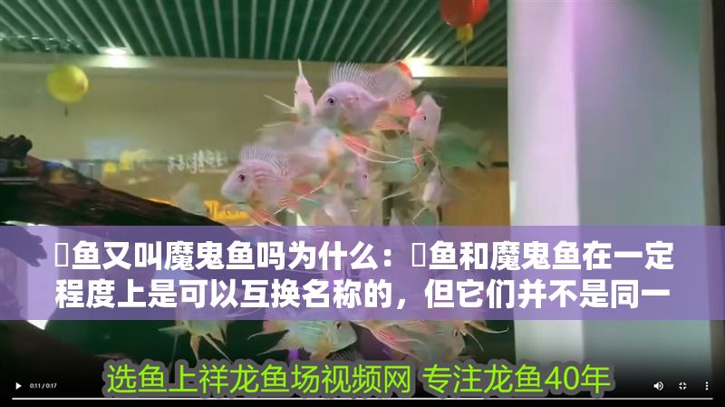 魟魚又叫魔鬼魚嗎為什么：魟魚和魔鬼魚在一定程度上是可以互換名稱的，但它們并不是同一種魚類