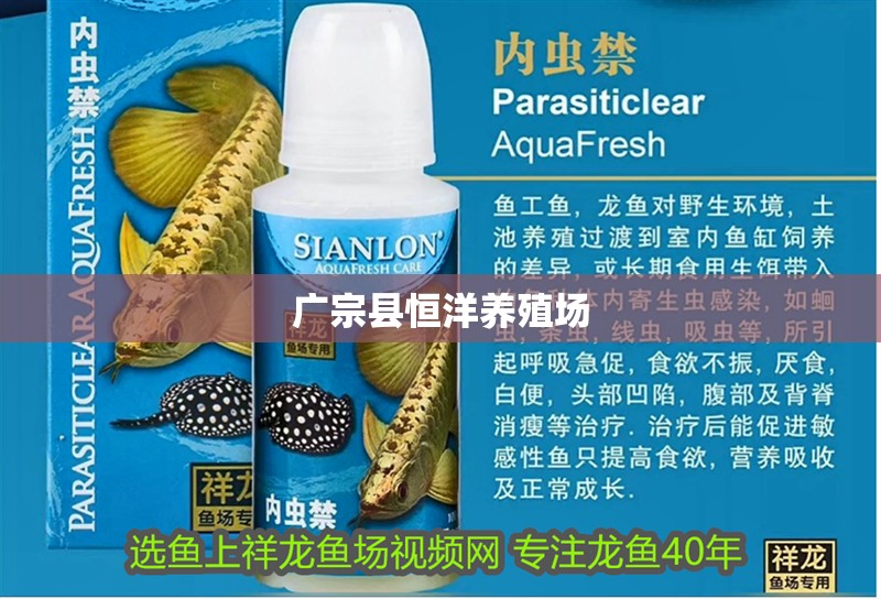 魚缸過濾器選購指南:自制魚缸過濾器魚缸上置過濾器對于養魚愛好者的必備知識 廣宗縣恒洋養殖場 全國水族館企業名錄 廣宗縣恒洋養殖場 廣宗縣恒洋養殖場 全國水族館企業名錄