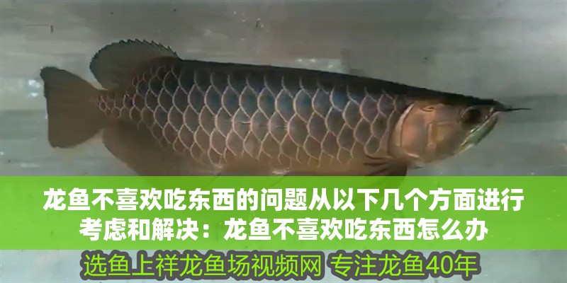 龍魚不喜歡吃東西的問題從以下幾個方面進行考慮和解決：龍魚不喜歡吃東西怎么辦 龍魚不喜歡吃東西的問題從以下幾個方面進行考慮和解決：龍魚不喜歡吃東西怎么辦 龍魚百科