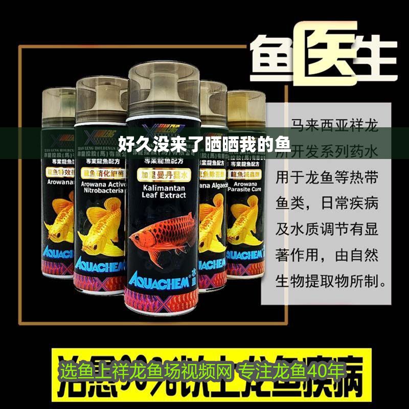 好久沒來了曬曬我的魚