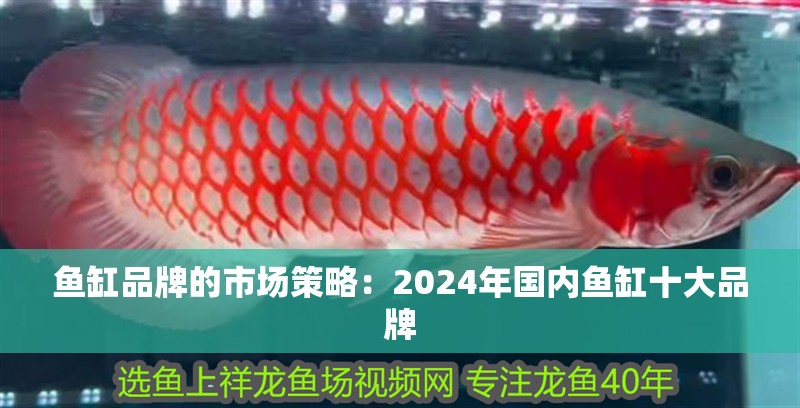 魚缸品牌的市場策略：2024年國內魚缸十大品牌