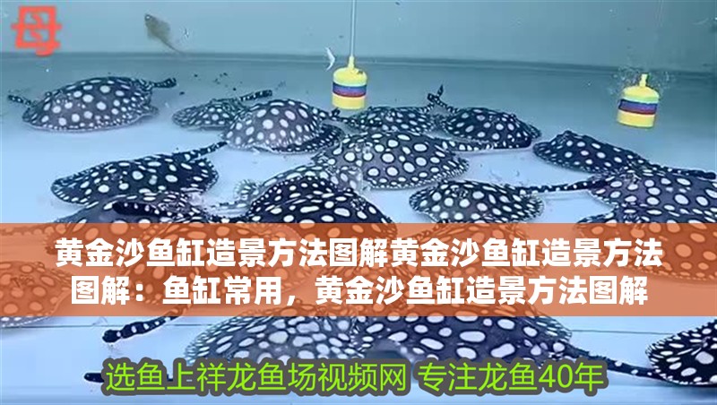 黃金沙魚缸造景方法圖解黃金沙魚缸造景方法圖解：魚缸常用，黃金沙魚缸造景方法圖解