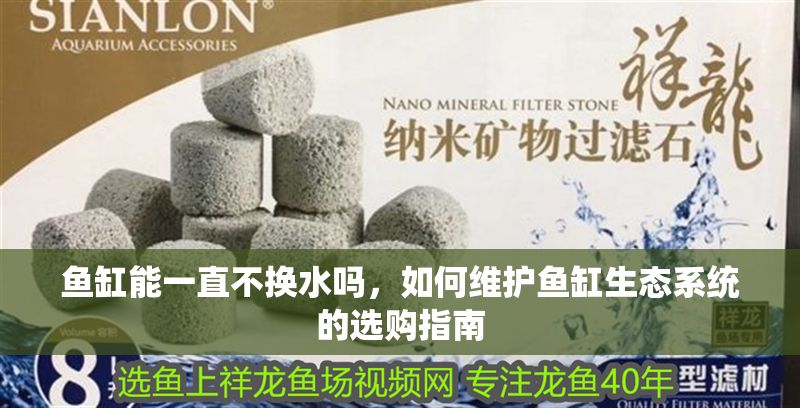 魚缸能一直不換水嗎，如何維護魚缸生態(tài)系統(tǒng)的選購指南 魚缸能一直不換水嗎，如何維護魚缸生態(tài)系統(tǒng)的選購指南 魚缸百科 第2張
